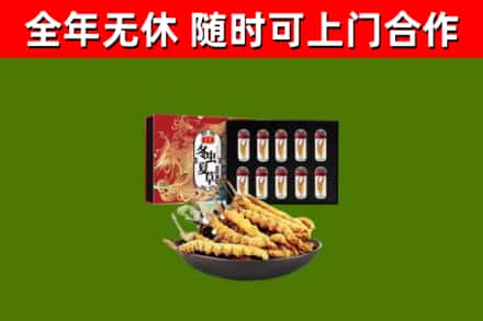 青原区烟酒回收冬虫夏草礼盒.jpg