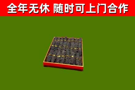 青原区回收海参